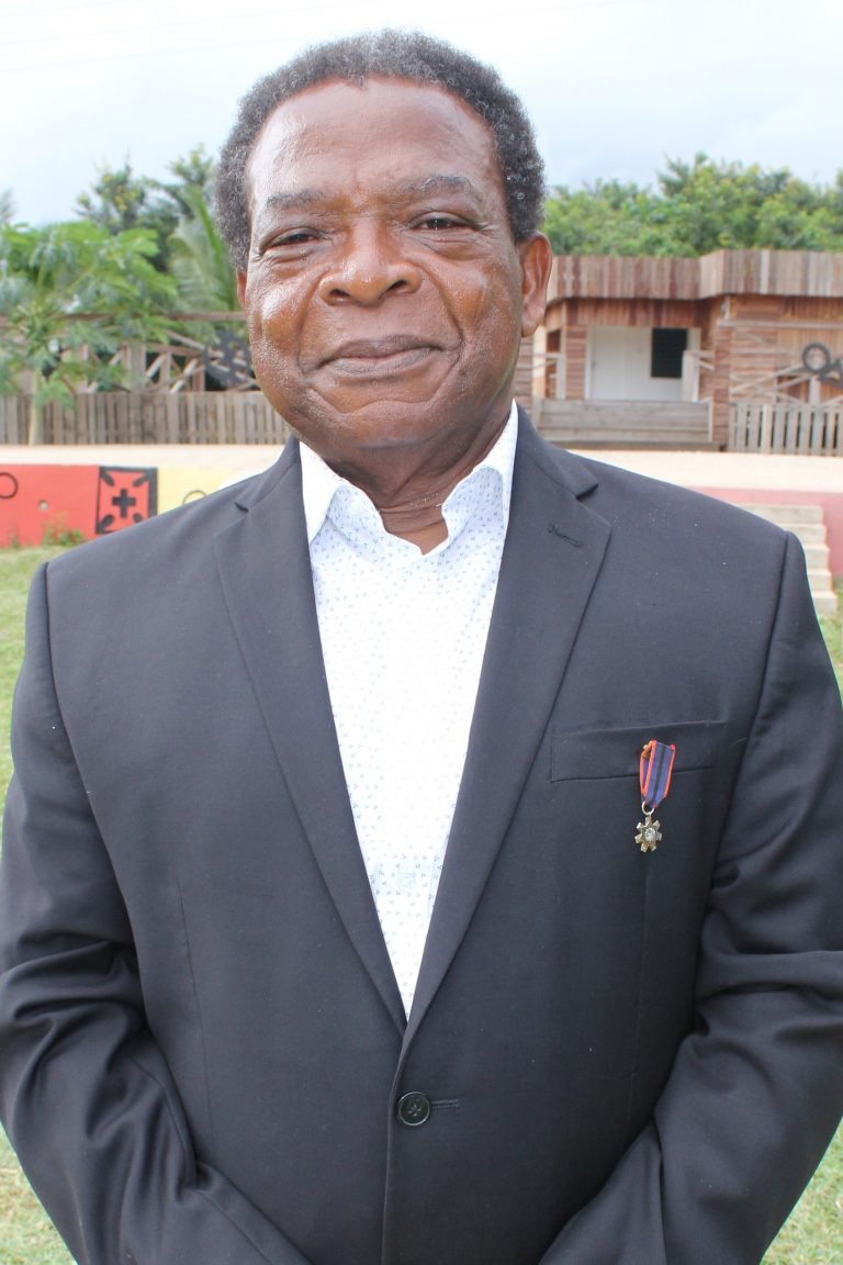 Political violence will stop if perpetrators are punished – Nana Ato Dadzie