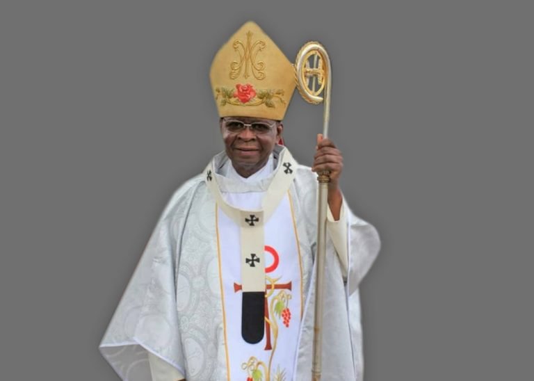 Politicians Must Focus On Common Good— Most Rev. Naameh